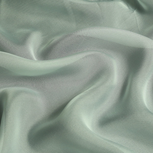 Pure Organza-MDDY0003394 - Tasneem Fabrics